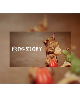 Frog story Steam Key GLOBAL